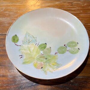 Antique Austrian Hand Painted Floral Saucer